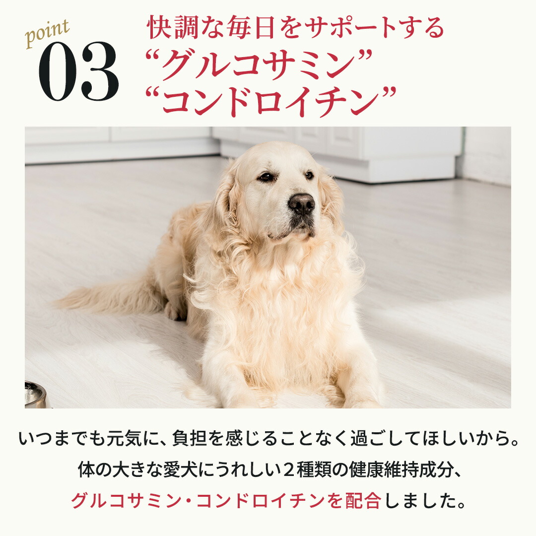 楽天市場】【公式】ネルソンズ ドッグフード（5kg）全犬種・全年齢対応