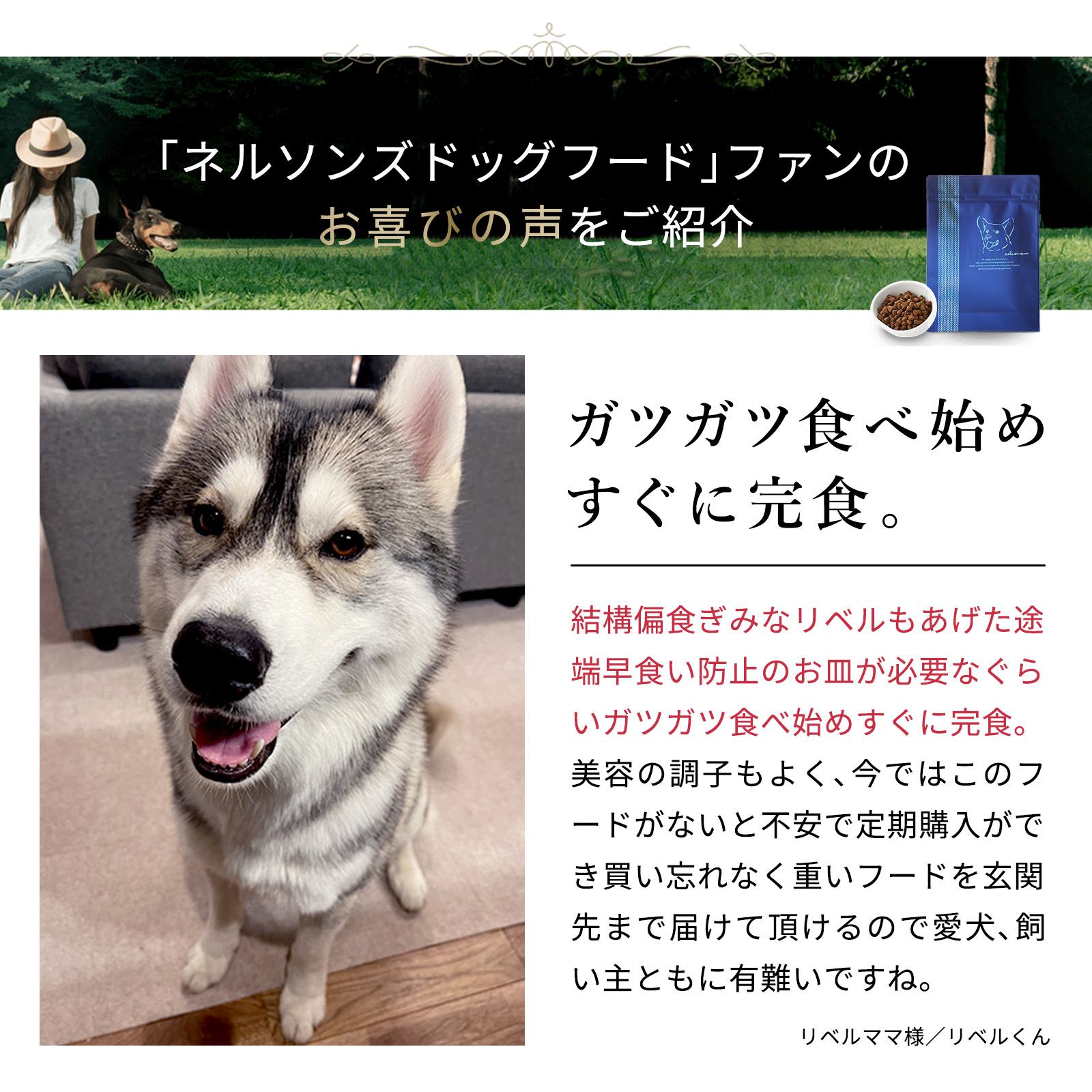 楽天市場】【公式】ネルソンズ ドッグフード（5kg）全犬種・全年齢対応