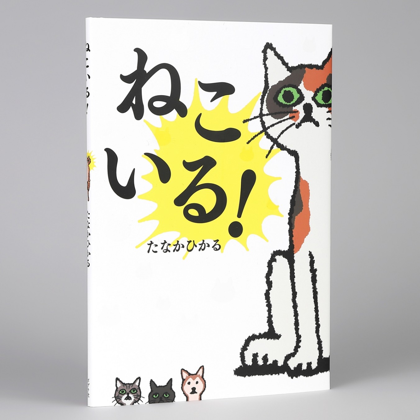 ねこいる！kodo-mall(こどもーる)／ポプラ社公式通販サイト