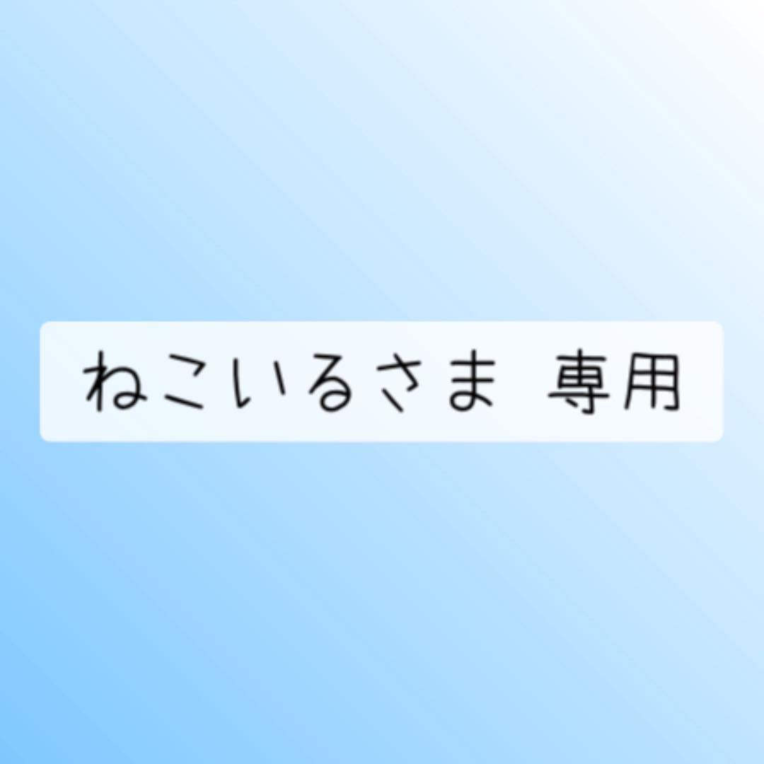 ねこいるさま 専用 まさかの！？ 《るる》がananデビュー✨ 毎年猫さまたちを見て可愛い